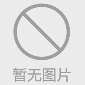 新的锅炉采购中标信息（部分）